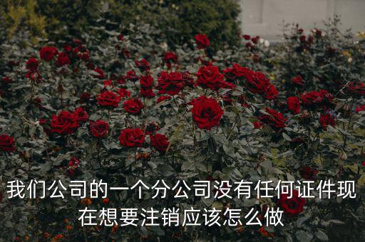 我們公司的一個(gè)分公司沒(méi)有任何證件現(xiàn)在想要注銷(xiāo)應(yīng)該怎么做
