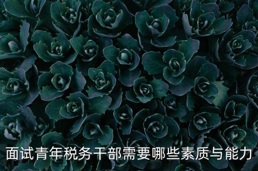 稅務(wù)年輕干部如何培養(yǎng)，面試青年稅務(wù)干部需要哪些素質(zhì)與能力