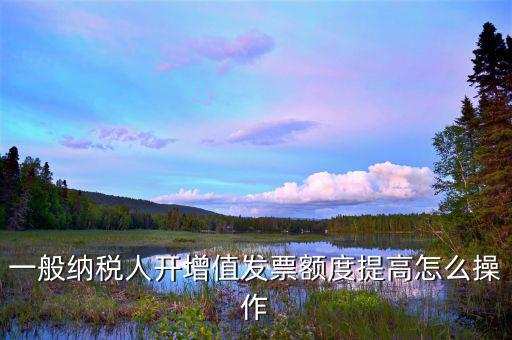 如何提高開(kāi)票限額申請(qǐng)，一般納稅人開(kāi)增值發(fā)票額度提高怎么操作