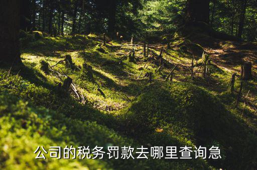 如何查稅收違法記錄，公司的稅務罰款去哪里查詢急