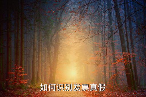深圳國稅局發(fā)票如何查詢真?zhèn)尾樵?，如何在認證前查驗發(fā)票真?zhèn)?/></a></span><span id=