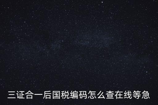 如何查詢個人稅務(wù)編號查詢系統(tǒng)，請問在哪里可以查到納稅人編碼