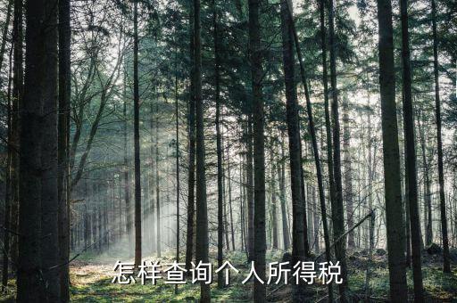 怎樣查詢(xún)個(gè)人所得稅