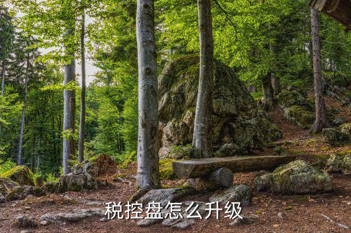 個(gè)人所得稅軟件如何升級(jí)，軟件怎樣升級(jí)
