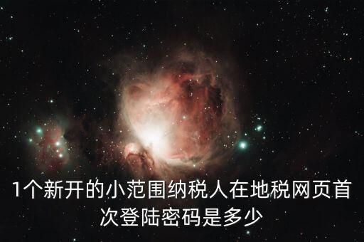 地稅ca如何登錄密碼是多少錢，1個新開的小范圍納稅人在地稅網頁首次登陸密碼是多少