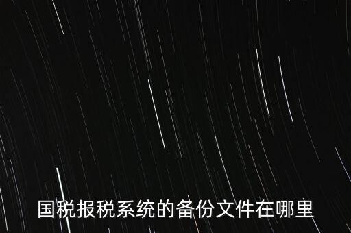 國稅報(bào)稅系統(tǒng)的備份文件在哪里