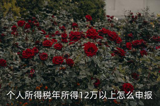 陜西地稅 12萬(wàn)以上如何申報(bào)，個(gè)人所得稅年所得12萬(wàn)以上怎么申報(bào)