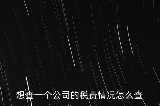 如何查詢公司納稅記錄查詢，想查一個公司的稅費情況怎么查
