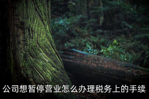 北京市如何辦理單位稅務(wù)暫停，企業(yè)暫停營(yíng)業(yè)怎么辦理