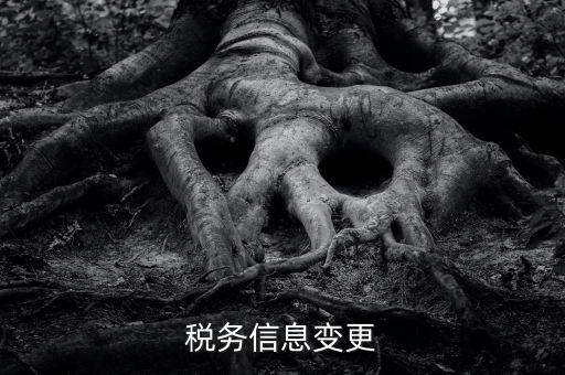 地稅如何變更人員信息查詢，浙江地稅開票軟件開票人怎么更改