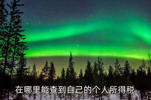 稅務(wù)如何查個稅，個稅怎么查