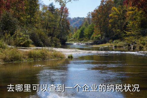 如何查詢企業(yè)納稅，去哪里可以查到一個企業(yè)的納稅狀況
