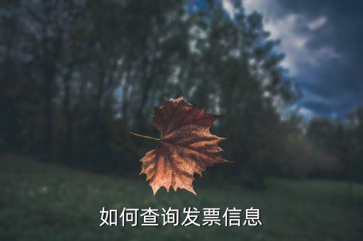 開票系統(tǒng)如何查詢票種，如何從金稅盤中看出公司票種