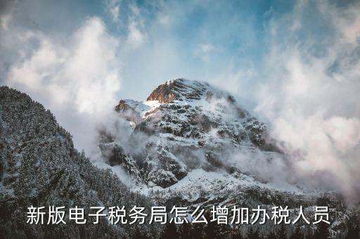 深圳稅局如何增加辦稅員，電子稅務局如何添加辦稅人員