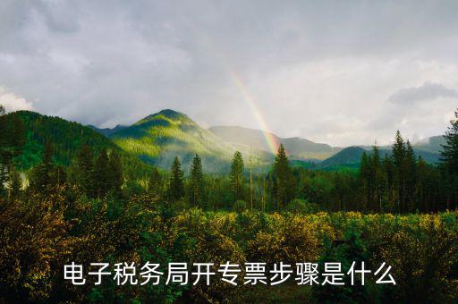 山西省稅務(wù)局網(wǎng)上如何開專票，如何開增值稅專用發(fā)票