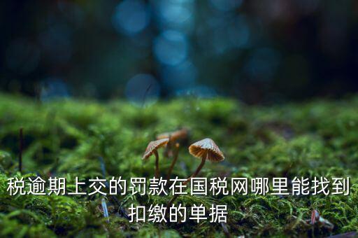 稅逾期上交的罰款在國稅網哪里能找到扣繳的單據(jù)