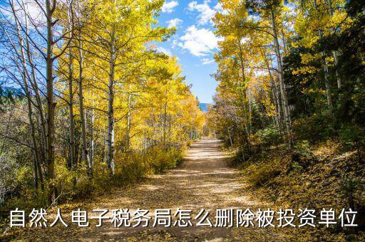 電子稅務(wù)局如何刪除不管的企業(yè)，電子稅務(wù)局網(wǎng)頁怎么清除企業(yè)稅號(hào)記錄