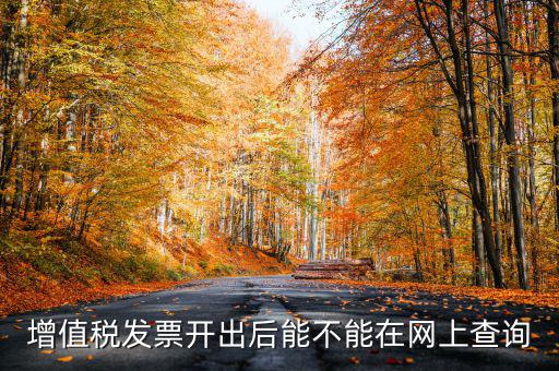 如何查詢發(fā)票完稅，稅控軟件上已經開的發(fā)票怎么查詢