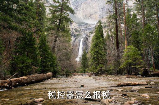 有稅控盤如何報稅，稅控器怎么報稅