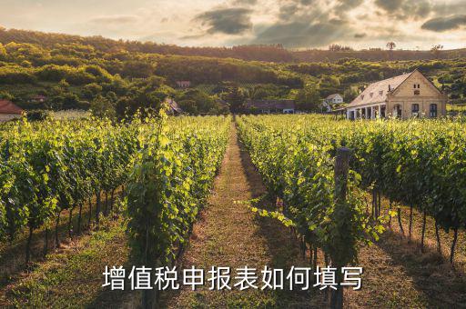 增值稅納稅申報表如何填列，增值稅申報表如何填寫