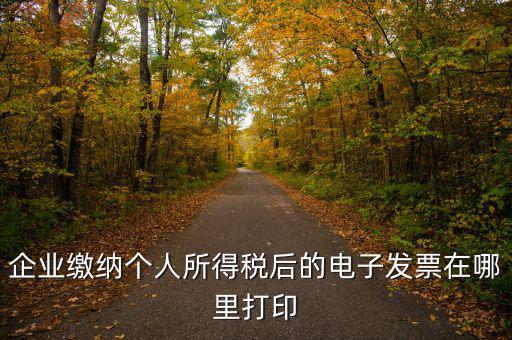 國稅網(wǎng)如何打印電子發(fā)票，增值稅電子普通發(fā)票怎么打印