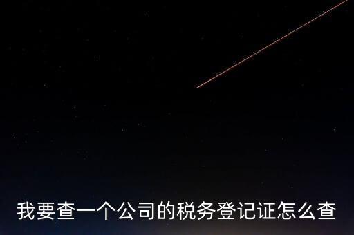 如何查企業(yè)的稅收記錄，想查一個(gè)公司的稅費(fèi)情況怎么查