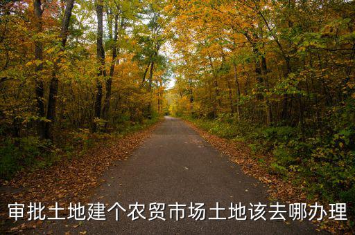 農(nóng)貿(mào)市場土地如何取得，審批土地建個農(nóng)貿(mào)市場土地該去哪辦理