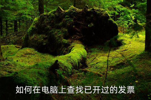 個(gè)人發(fā)票如何查詢(xún)，怎樣在電腦開(kāi)票系統(tǒng)里查找已開(kāi)的發(fā)票