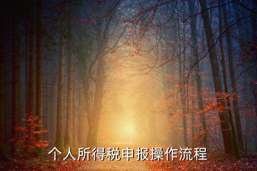 自然人所得稅如何安裝，個人所得稅如何進行申報和核算