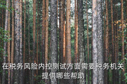 在稅務風險內(nèi)控測試方面需要稅務機關(guān)提供哪些幫助