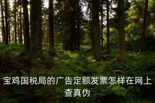 國稅定額發(fā)票如何查驗，國稅的定額發(fā)票怎么辨別真假制作的跟假的似的