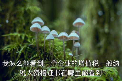增值稅一般納稅人資格如何查詢，重慶國(guó)稅網(wǎng)如何查詢企業(yè)是否一般納稅人