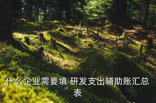 研發(fā)支出 輔助賬匯總表如何填寫，什么企業(yè)需要填 研發(fā)支出輔助賬匯總表