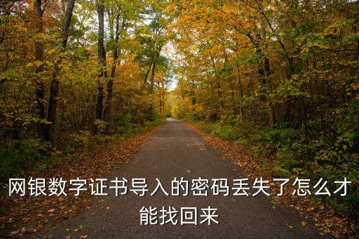 數(shù)字證書密碼錯誤如何找回，營業(yè)執(zhí)照數(shù)字證書密碼忘記了 怎么辦