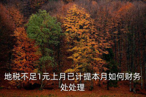 財(cái)務(wù)處如何落實(shí)數(shù)據(jù)地稅，地稅不足1元上月已計(jì)提本月如何財(cái)務(wù)處處理