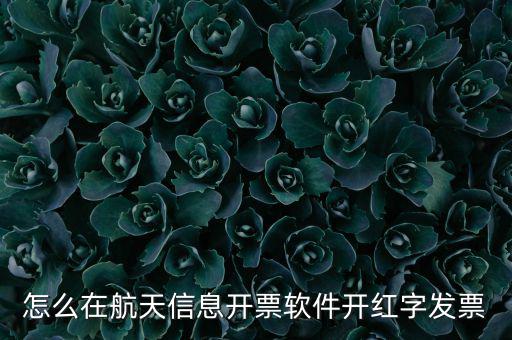 航天信息如何開票系統(tǒng)，航天信息開票系統(tǒng)