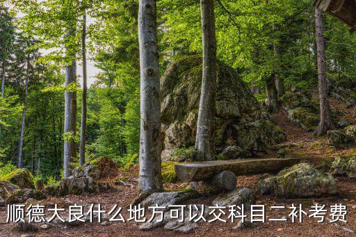 如何取消順德稅務平臺上的預約，如何取消順德人民醫(yī)院網上掛號