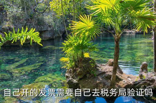 如何去稅務(wù)局驗(yàn)證發(fā)票嗎，發(fā)票怎么去稅務(wù)局驗(yàn)證需要什么資料