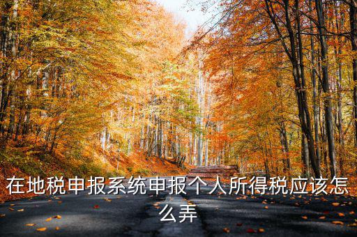 如何在北京地稅局申報(bào)個稅，在地稅申報(bào)系統(tǒng)申報(bào)個人所得稅應(yīng)該怎么弄