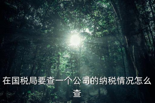 企業(yè)如何查詢納稅等級，在國稅局要查一個公司的納稅情況怎么查