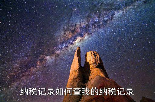 如何查詢納稅情況，要去哪里查自己的個稅繳納情況