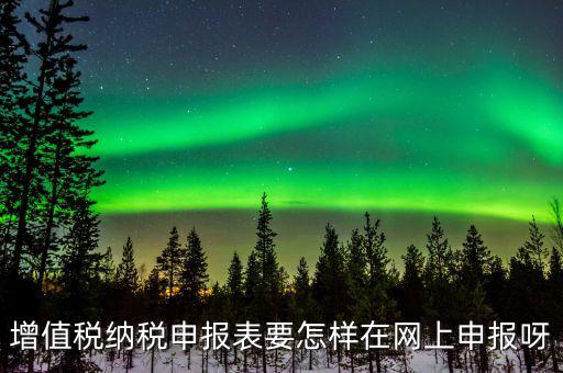 增值稅網(wǎng)上如何申報系統(tǒng)，增值稅納稅申報表要怎樣在網(wǎng)上申報呀