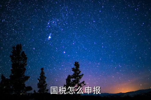 北京國稅如何登陸申報，國稅如何網(wǎng)上零申報 具體步驟有五個