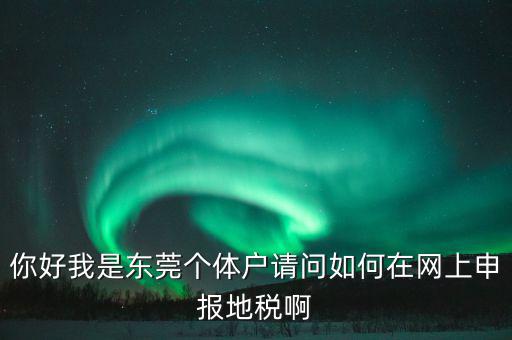 東莞個稅如何申報，你好我是東莞個體戶請問如何在網(wǎng)上申報地稅啊