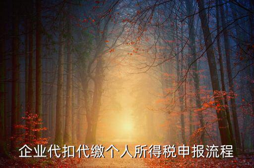 網(wǎng)上如何進入代扣代繳申報，企業(yè)代扣代繳個人所得稅申報流程