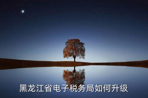 如何升級(jí)國(guó)稅系統(tǒng)，河南省電子稅務(wù)局版本過(guò)低怎么升級(jí)