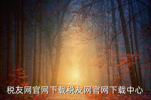 稅友如何下載，個稅在稅友網(wǎng)上下載下來了然后怎么安裝