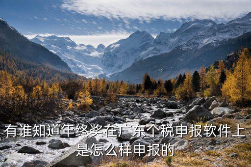 全年一次年終獎(jiǎng)軟件如何申報(bào)，有誰(shuí)知道年終獎(jiǎng)在廣東個(gè)稅申報(bào)軟件上是怎么樣申報(bào)的