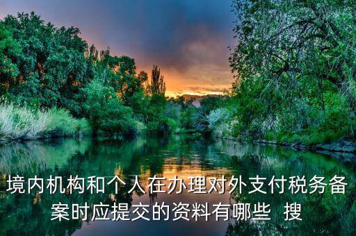 如何填列對(duì)外支付稅務(wù)備案表，境內(nèi)機(jī)構(gòu)和個(gè)人在辦理對(duì)外支付稅務(wù)備案時(shí)應(yīng)提交的資料有哪些  搜