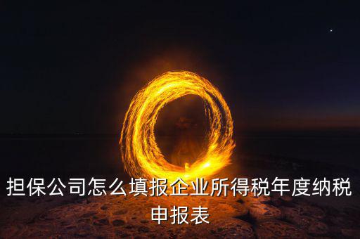 保險(xiǎn)公司如何納稅申報(bào)，保險(xiǎn)代理公司怎么向地稅申請(qǐng)代開(kāi)發(fā)票